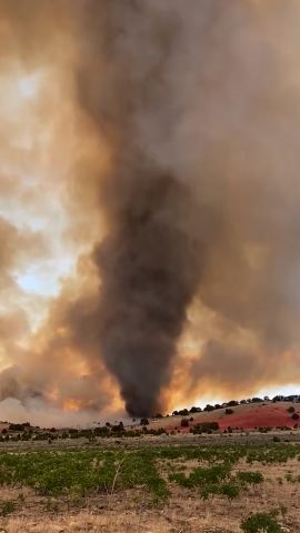 20260729_Firenado.00_00_01_29.Still001.jpg
