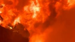 fires 16.jpg